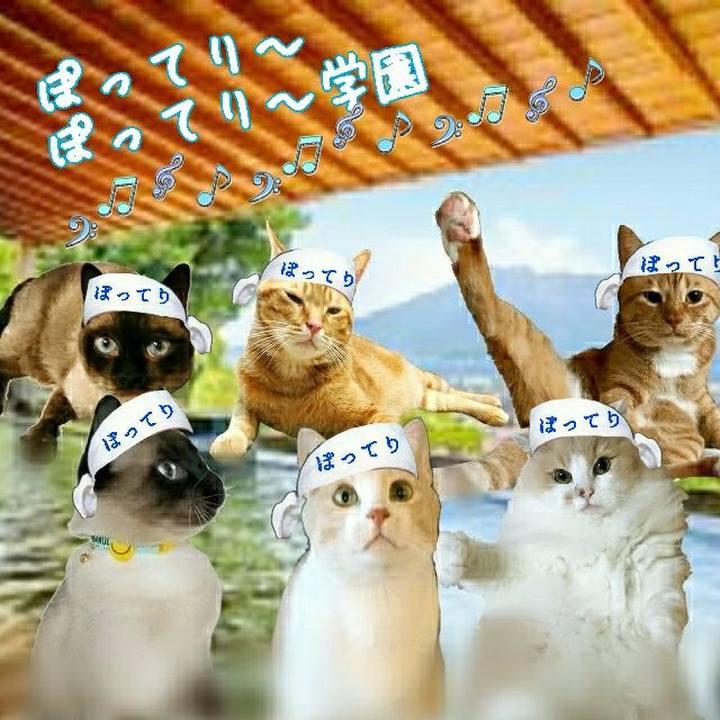 8874b242 3886 47cc 98f6 eaa6d5d33446 1558864703517