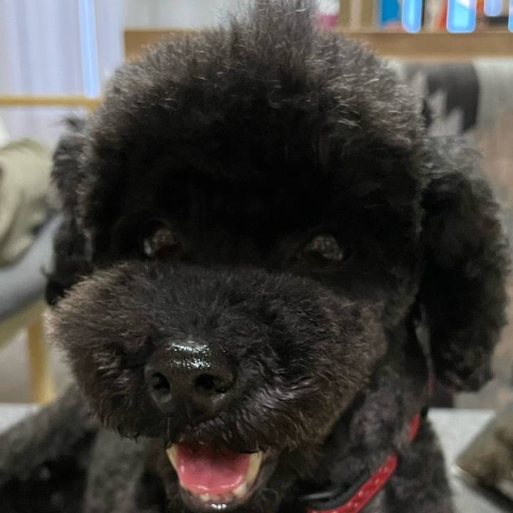 8874d401 bc6f 4b3b ad3d 3510e12b6f3d 1653822260881