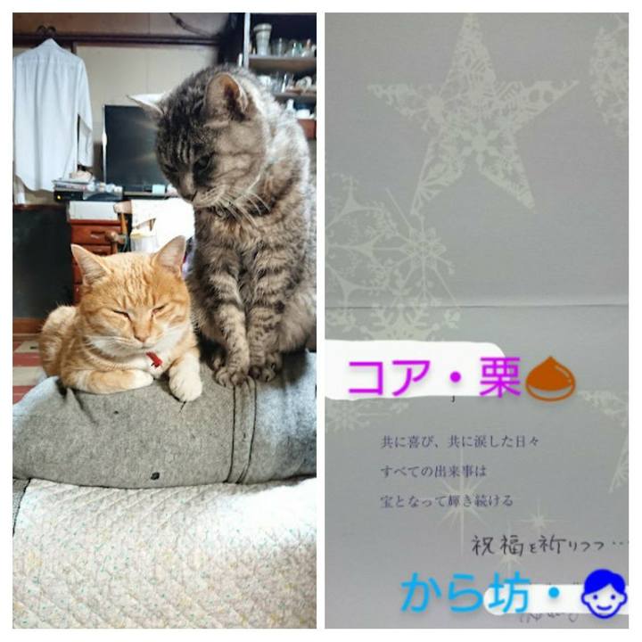 8874e499 5106 4812 ad4a d99df6ddd48c 1640344342855