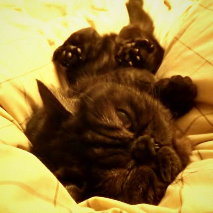 8874f2b1 fa66 46ba a574 5de01f988033 1514626929798