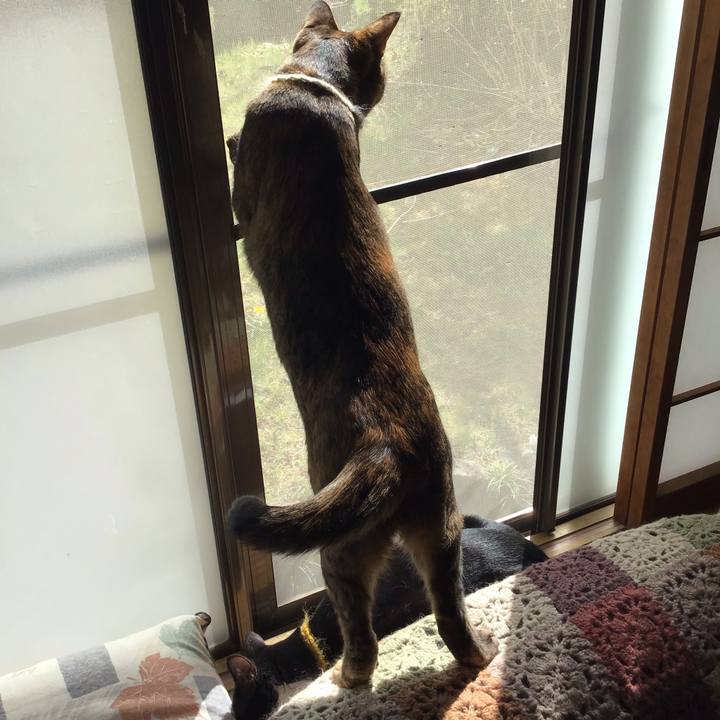 88751863 f2ca 447c 9006 699c7341ebe9 1648433890078