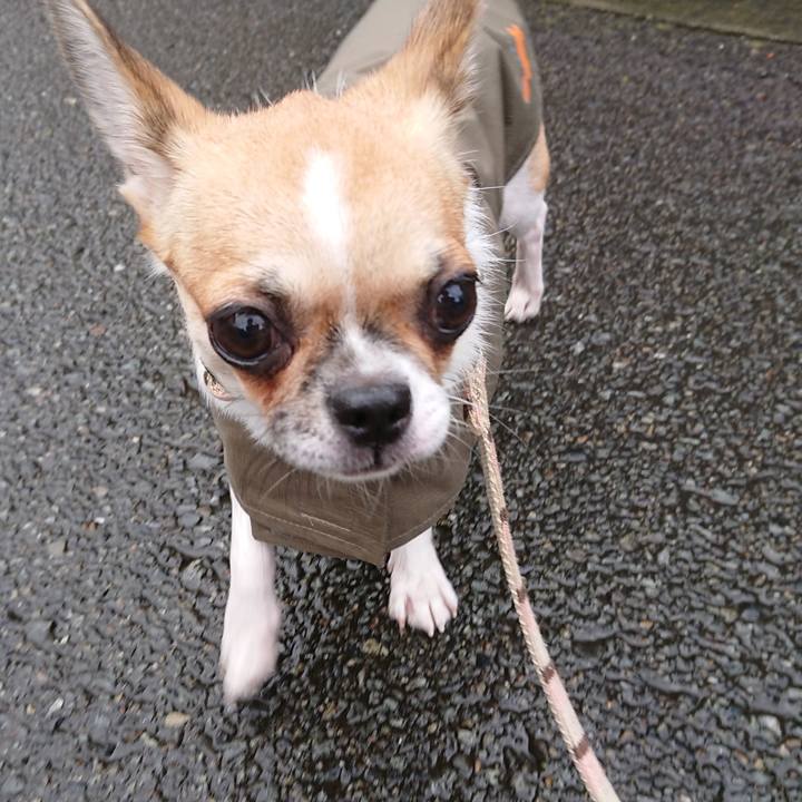 88752a53 38db 4da5 9ab2 02ae409c911e 1538040041403