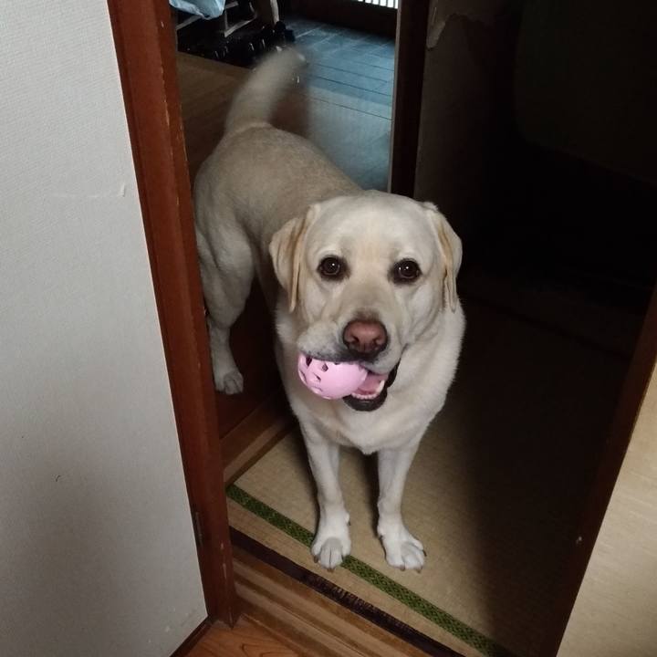 88757d45 b2e1 45a0 ad6d 8f6df9eb76ba 1592738076350