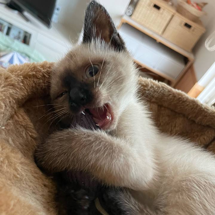 88757f82 b7c4 436a 8338 14644f761a0a 1688328125638