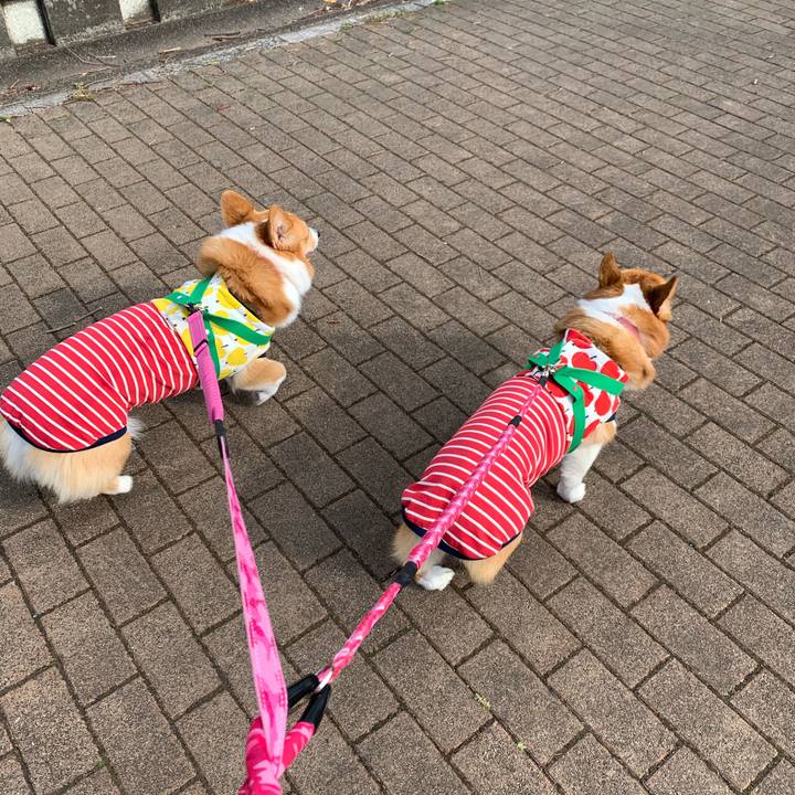 88758a8b d394 4b3a 89ac 13df0ce35904 1584969551956