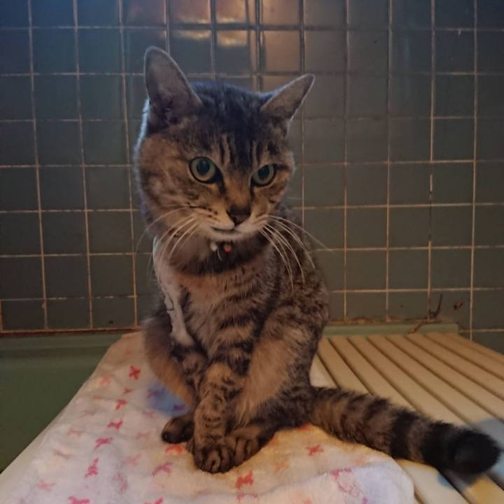 8875db57 65a3 4dba aa42 7e2b3f085d3a 1619951105424