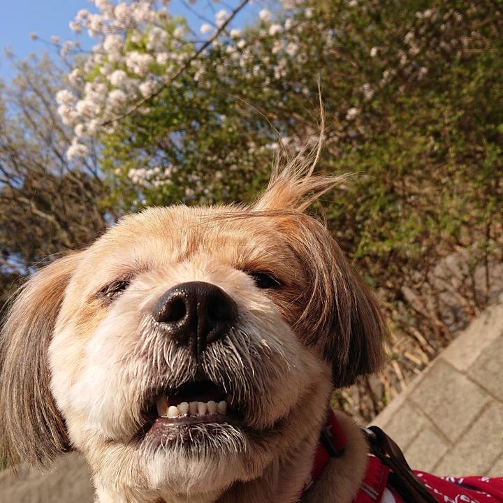 8875fb36 3319 49a0 82a7 e656c5a6ab71 1586004844957