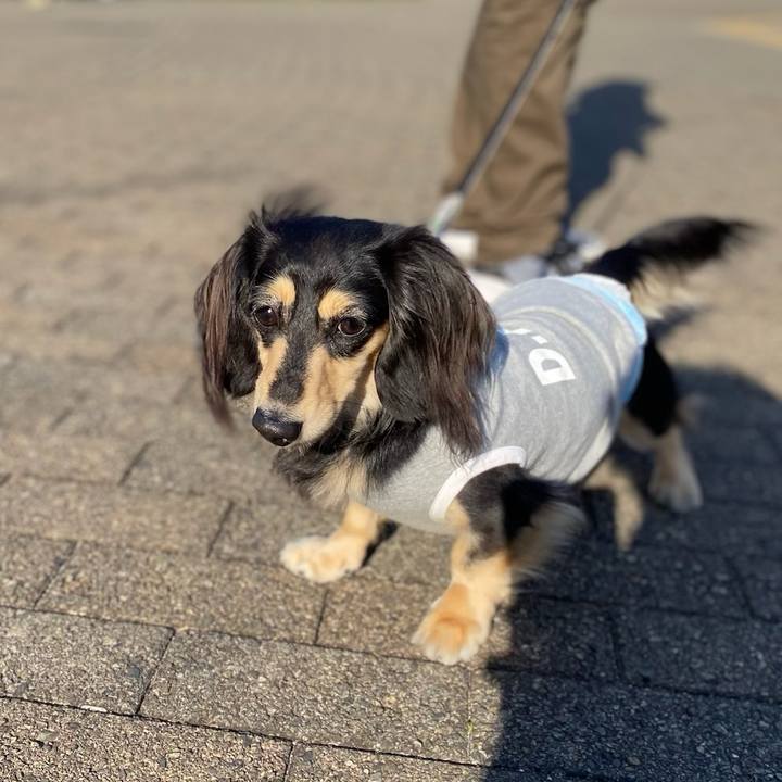 88760658 bcd8 42b5 a530 08c009023dee 1711101385220