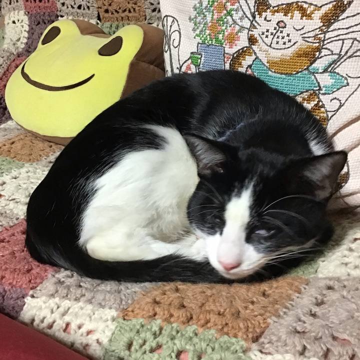 88761fac 9444 4340 9ead a4630428db6d 1638353443690