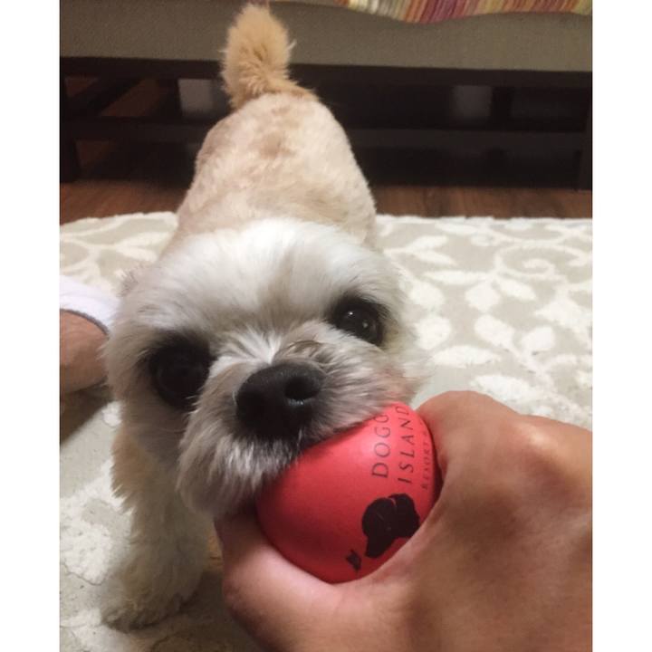 88769534 8e87 445b b6ca d617ecd9cc9d 1557488809920