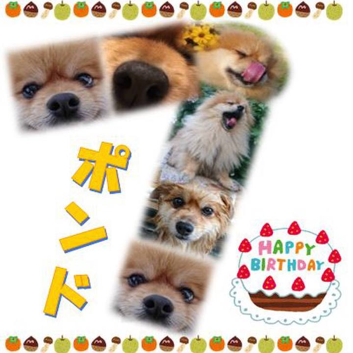 8876a3ba 9cd3 4151 9c8b ec45f3768eb5 1536704496135