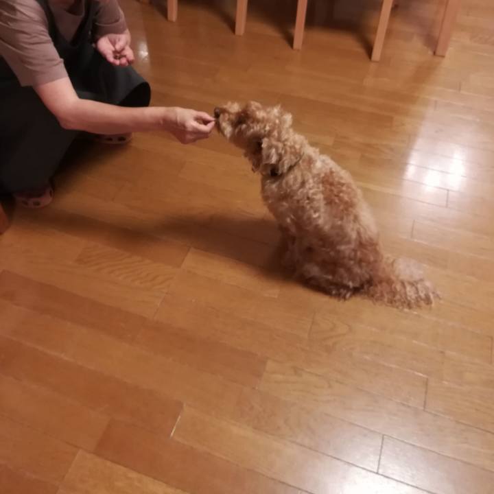 8876a7ee 1cad 447f b616 67c5363f1cf9 1529746239767