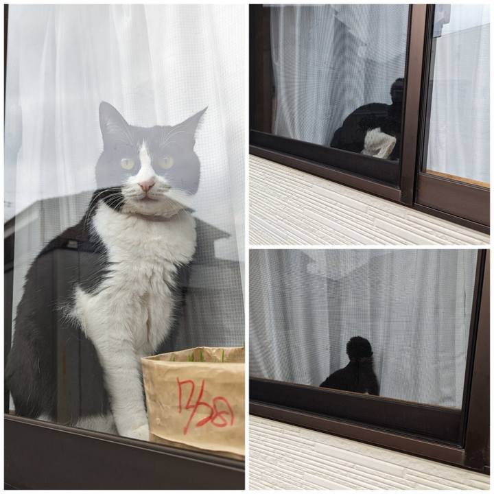 887702e7 af79 487e aec4 20a6d4a35c04 1704520743525