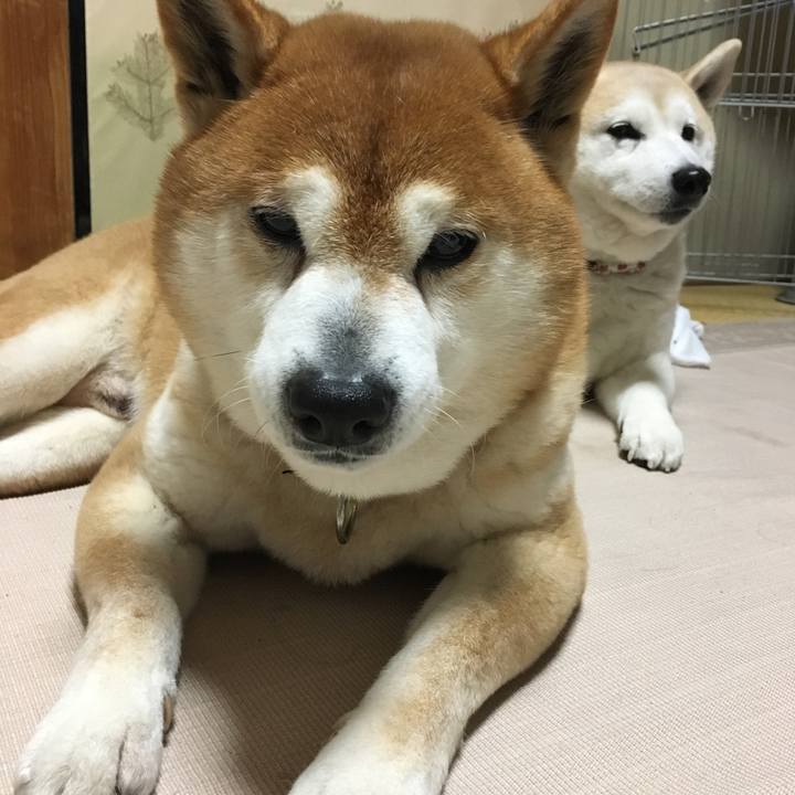 887715dc 321e 4474 acd1 9e42b2162af6 1521805953707