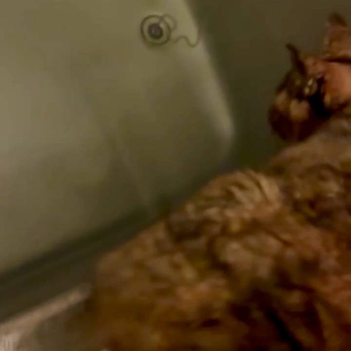 88772a30 8609 4c43 a23c 26b7f8b894d2 1767903449231