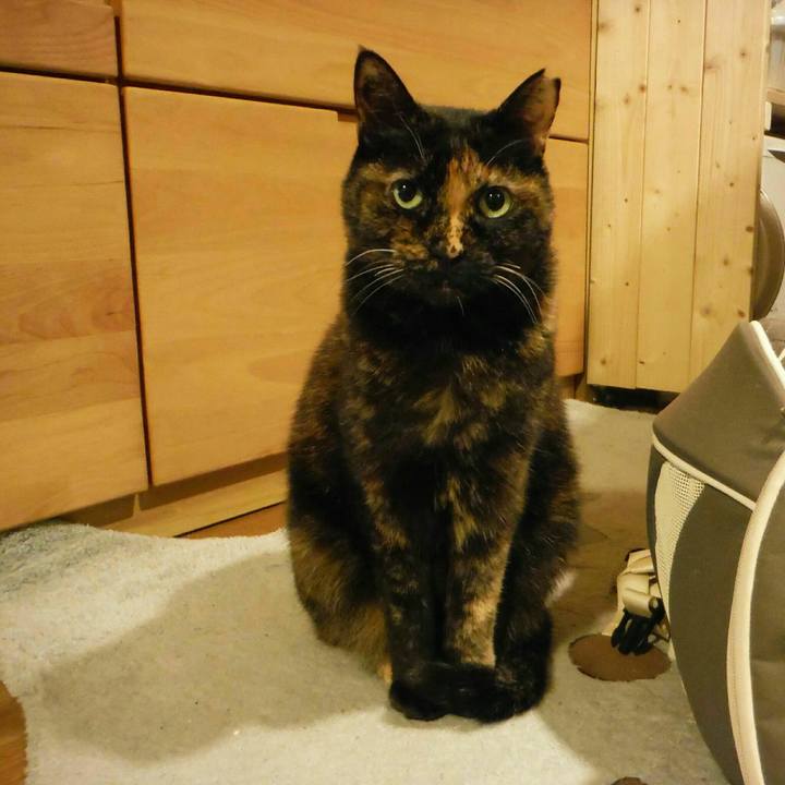 88772b13 ac85 4ef7 86b1 bae865bf6264 1544530135548