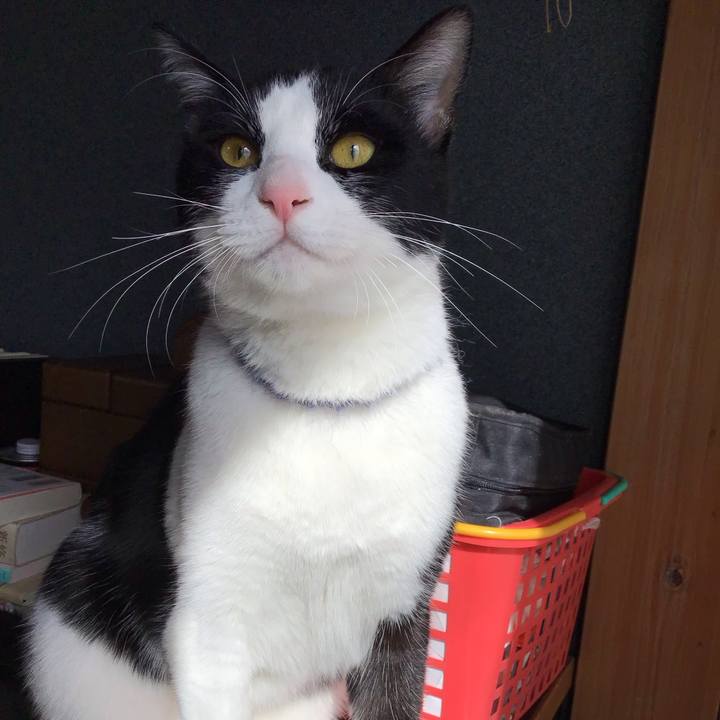 88773fd4 c431 4f51 9507 60b783f486a6 1644631908184