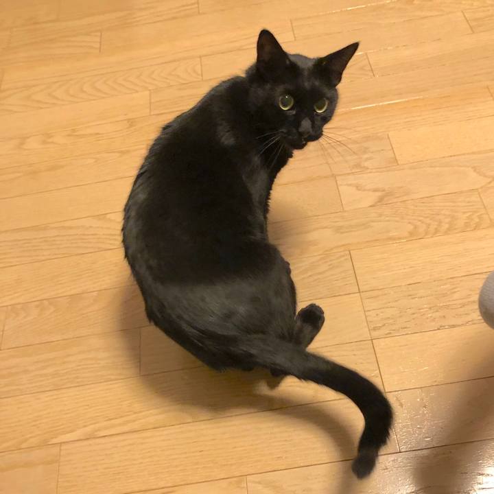 88777aa9 4256 45a5 8d50 a8e36b1169ac 1573044304162