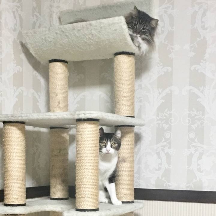 887793e8 0336 41bb 8a05 3647b933266a 1510735467992