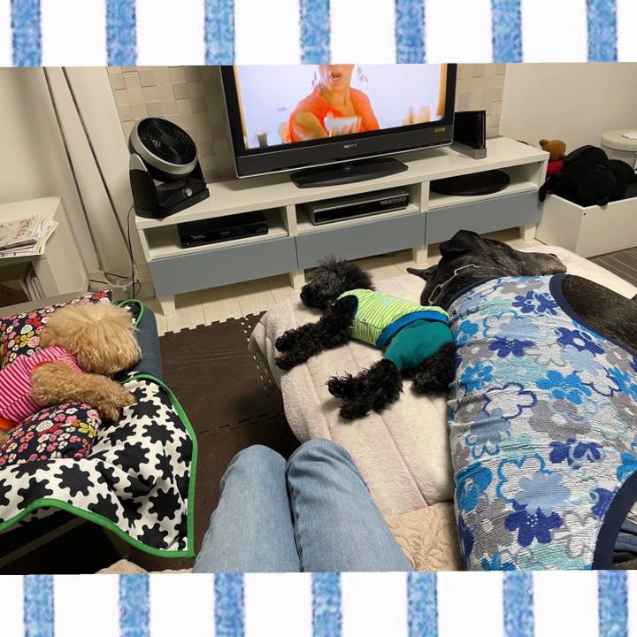 8877af3c 8455 4366 9038 89e3935fd3b6 1617452210542