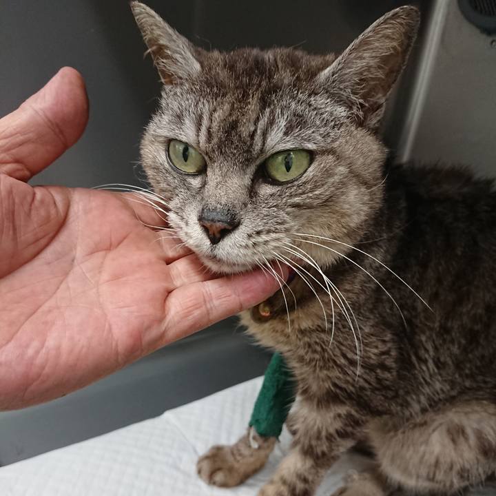 88784172 bfe0 4d40 9819 2b46383980be 1597913930430