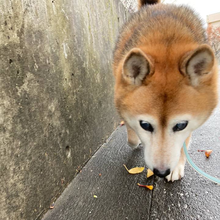 8878524c 8188 4a6f 9085 6ecc3f396da5 1732148568937