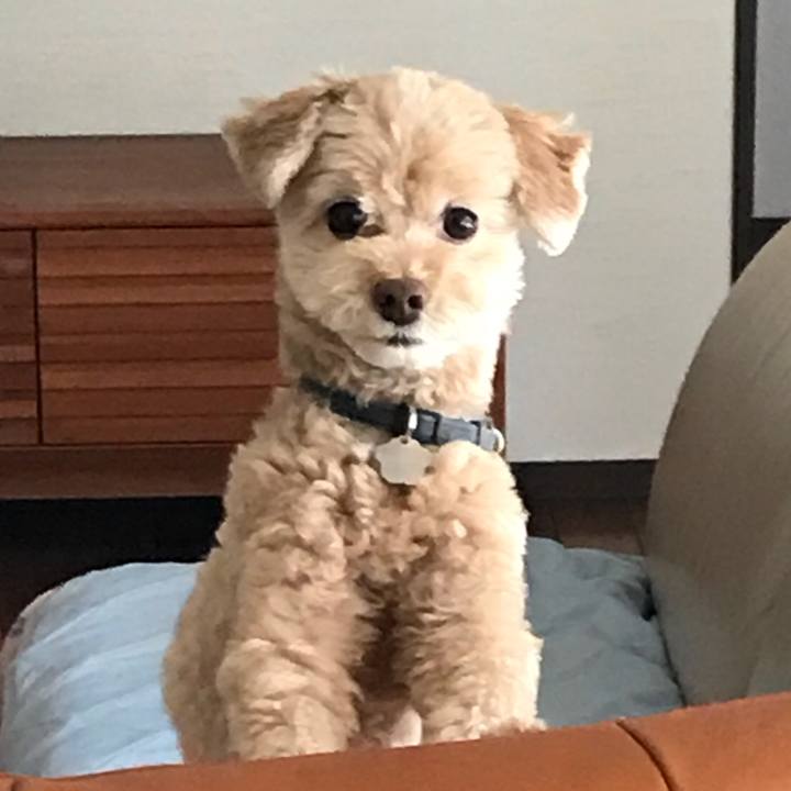 887868e3 3f12 4d0e bfa1 cdb7ea21dc3d 1532404418508