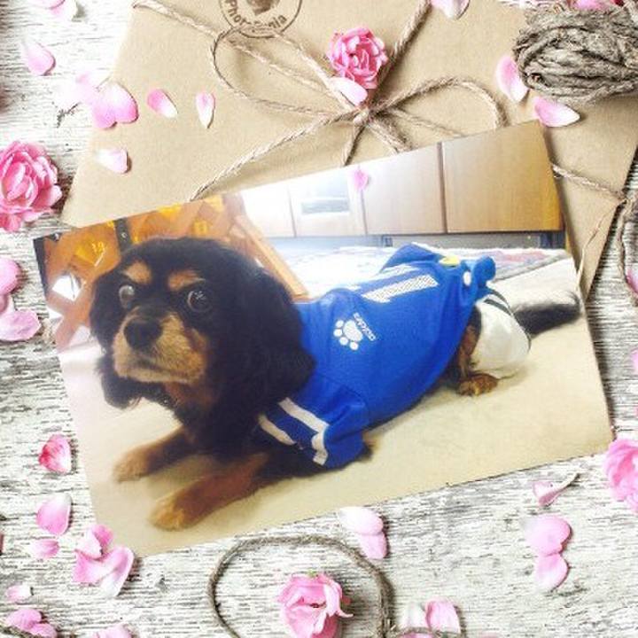 88787287 3b01 4504 8e03 751ee3966c8d 1519282375051