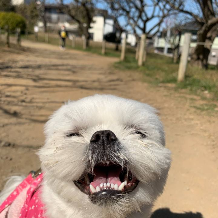 8878f647 940f 4022 97a9 e88f4e6f8c26 1646053256036