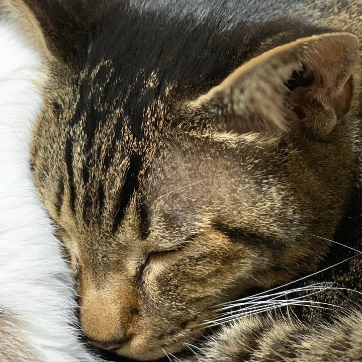 8878f832 8274 440e b587 31f387ca732f 1541986040210