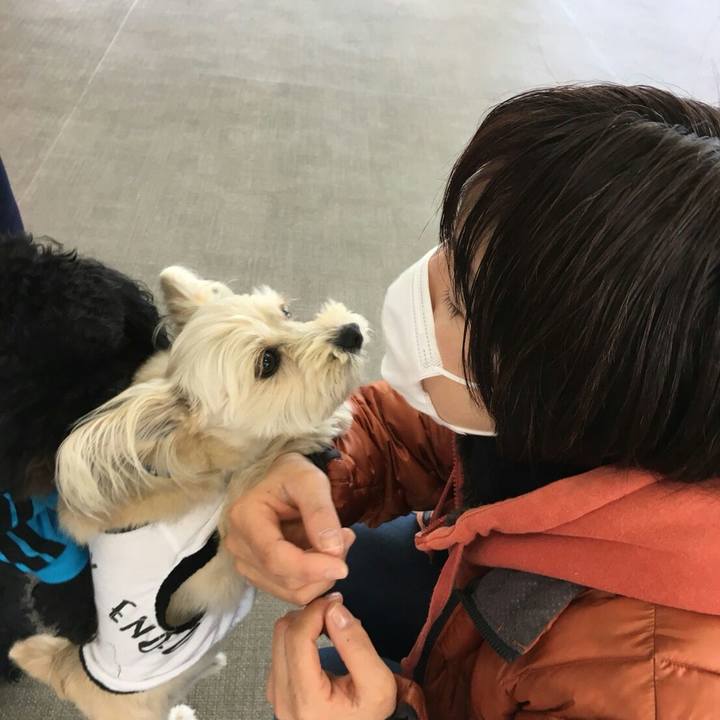 88792f32 924b 42c3 a9d0 0e05201331ea 1518582871315