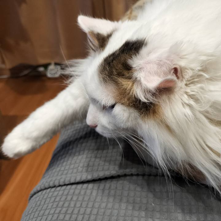 887941be c2e6 4115 b724 e580bae2fa37 1770534618759