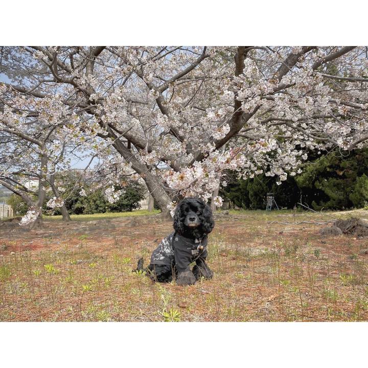 887950f8 c2fb 4b15 82b9 5447dd1c02f7 1616998161437