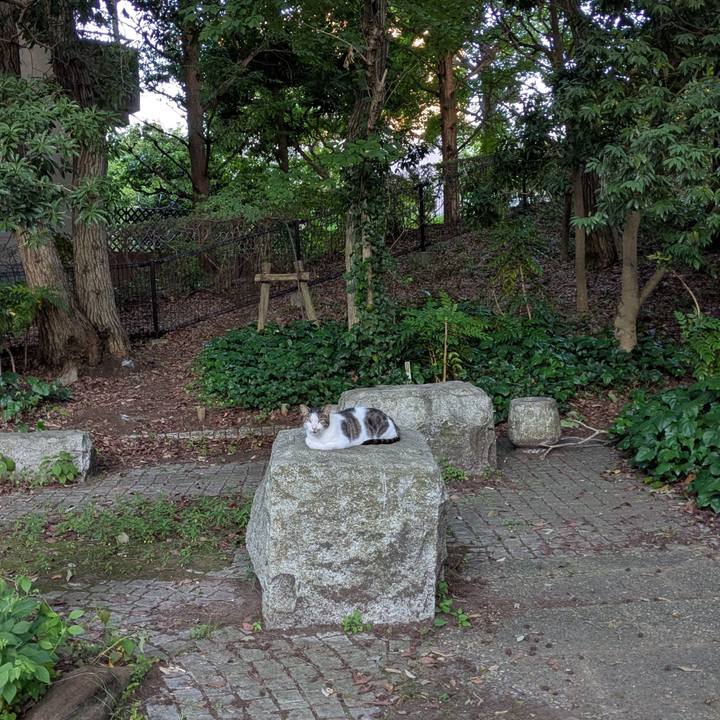 8879567b f6ed 489c 90f0 09aab4e66cec 1753787246489