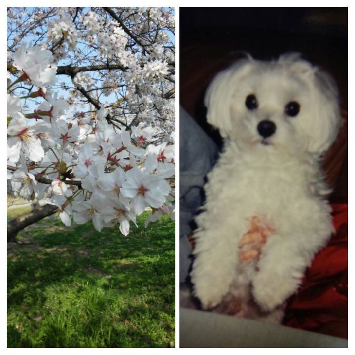 88798673 8cc2 4028 9760 fb85f7695029 1522144671021