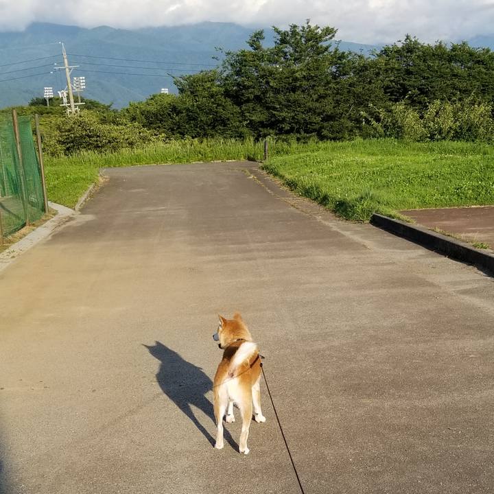 8879c60f 5959 401d 90a3 21f927eba48d 1596271851886