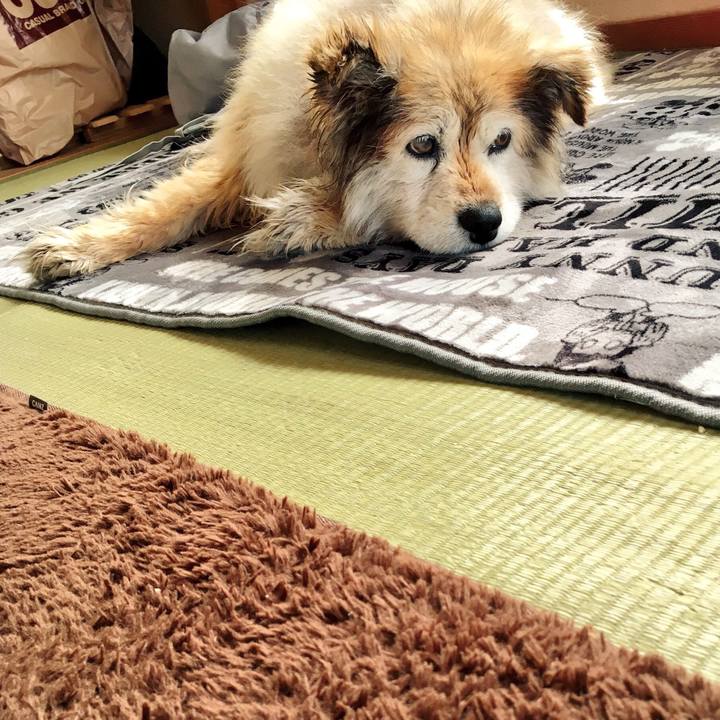 8879c65d c98e 47f3 9db3 aa6f6b5e0aa5 1549614480330