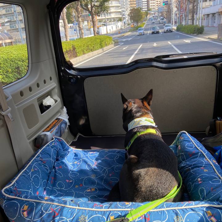 8879d0dc a151 496b 88bf 0a93b84edfee 1615336075929