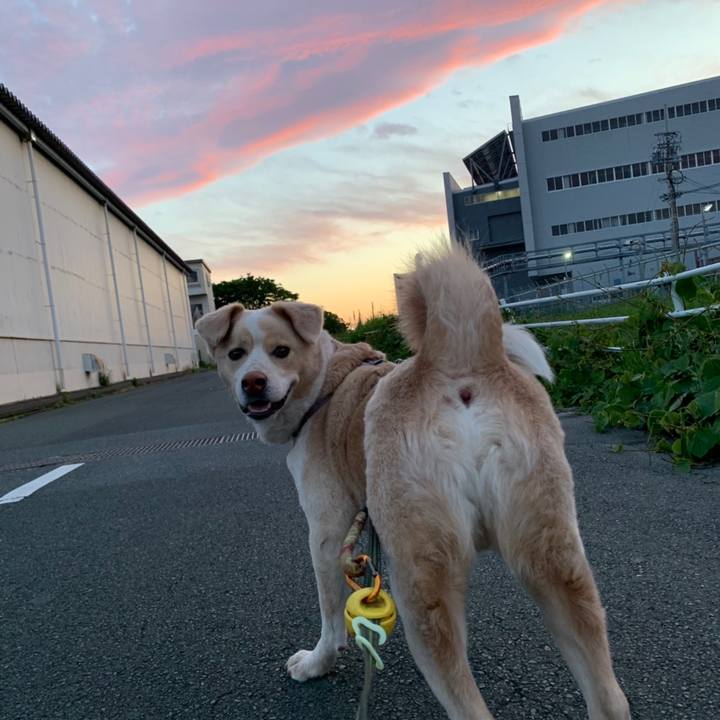 8879d5e0 c887 414b a0d3 803e5b8aac87 1558441418836