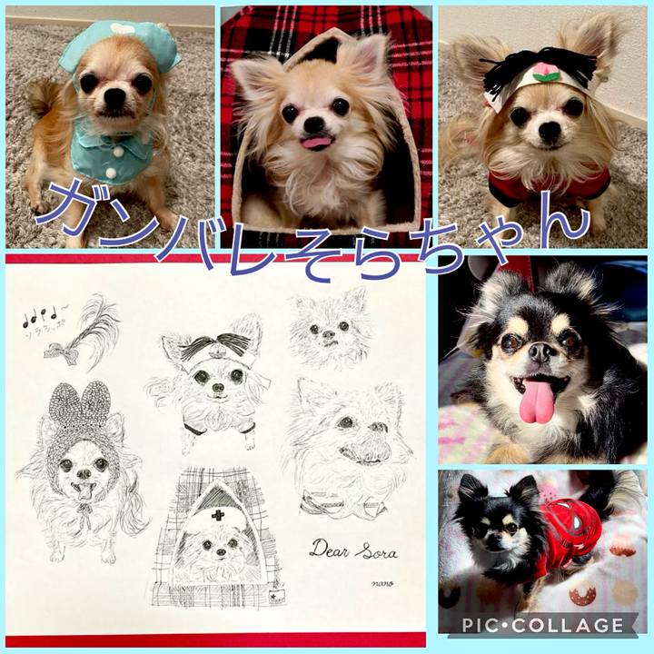 887a1fce ac21 4354 a158 939836d8c2c7 1701737887639