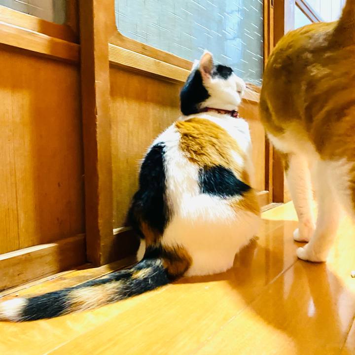 887b1717 24b0 4fce 889a dafc2161c3d5 1692286926962