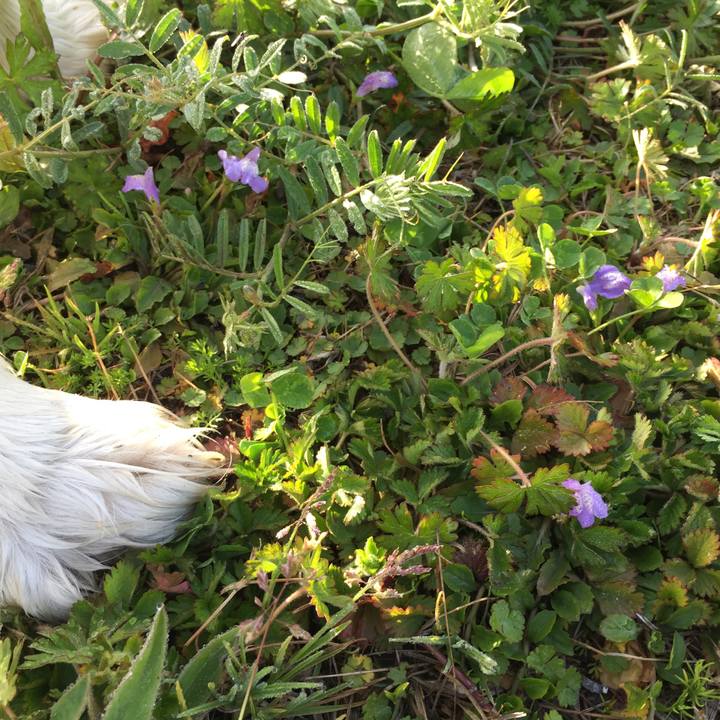 887b1bae 6320 4daa 9fac c88be85ab1e8 1584746185517