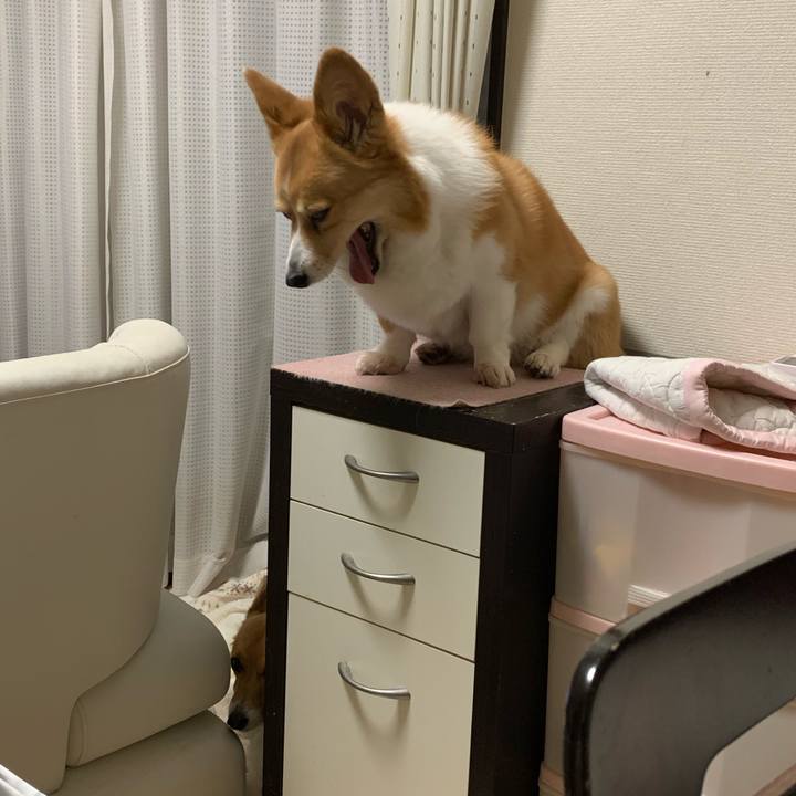 887b3b05 f889 48f1 b6e4 c798069f3c2f 1588254775718