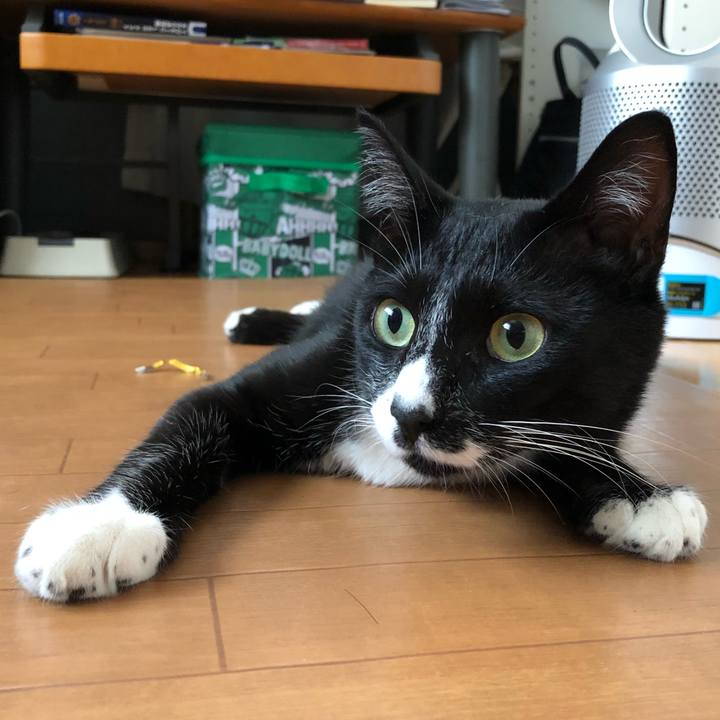 887b43ed c04a 4b63 a2d4 24e448da356f 1534055125868