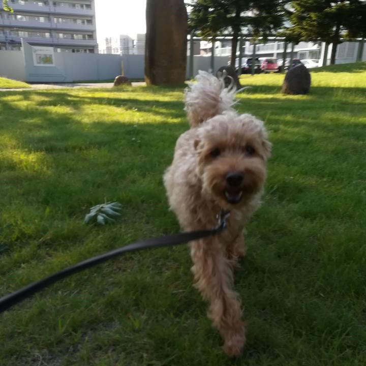 887b6a9a 2e8d 451d 9b5e 9c03f62d41d9 1528545857625