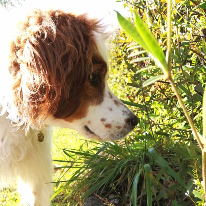 887b7aae f3ef 4f6c 82fc 238c59eee7d0 1586863539872