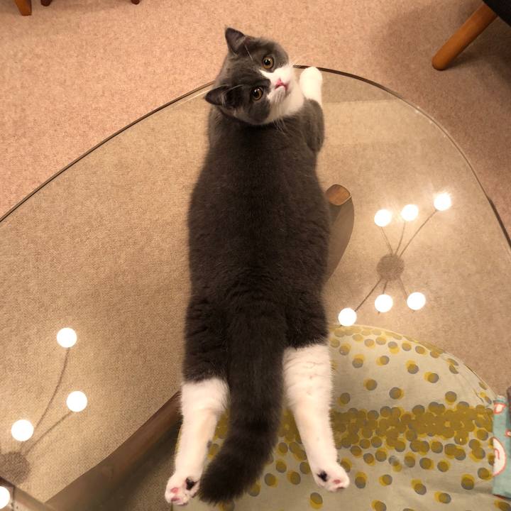 887b7bd0 6a5b 4171 bf6c 0aa403a5f38a 1517400681680