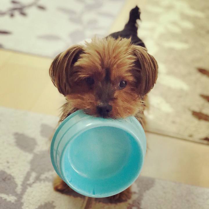 887b992c d34c 479a a265 9d42f24833f7 1510444799924