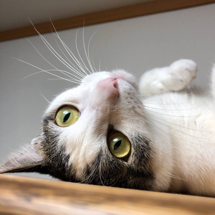 887bb3ac a15d 4428 b035 c56bf715c006 1601636123246