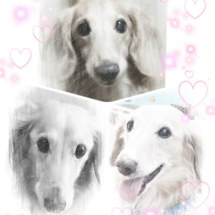 887bb3d8 3173 4dac 8ce7 88c63a893dab 1625745687898